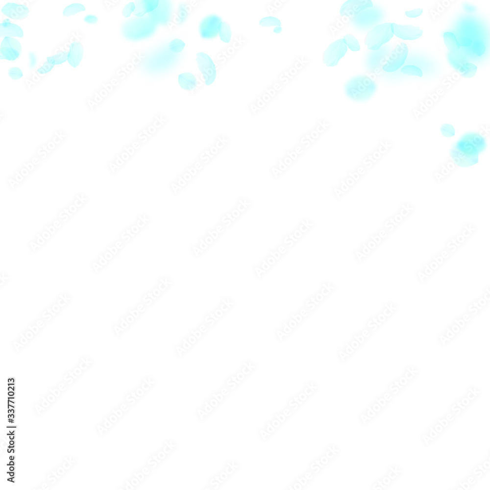 Turquoise flower petals falling down. Splendid rom