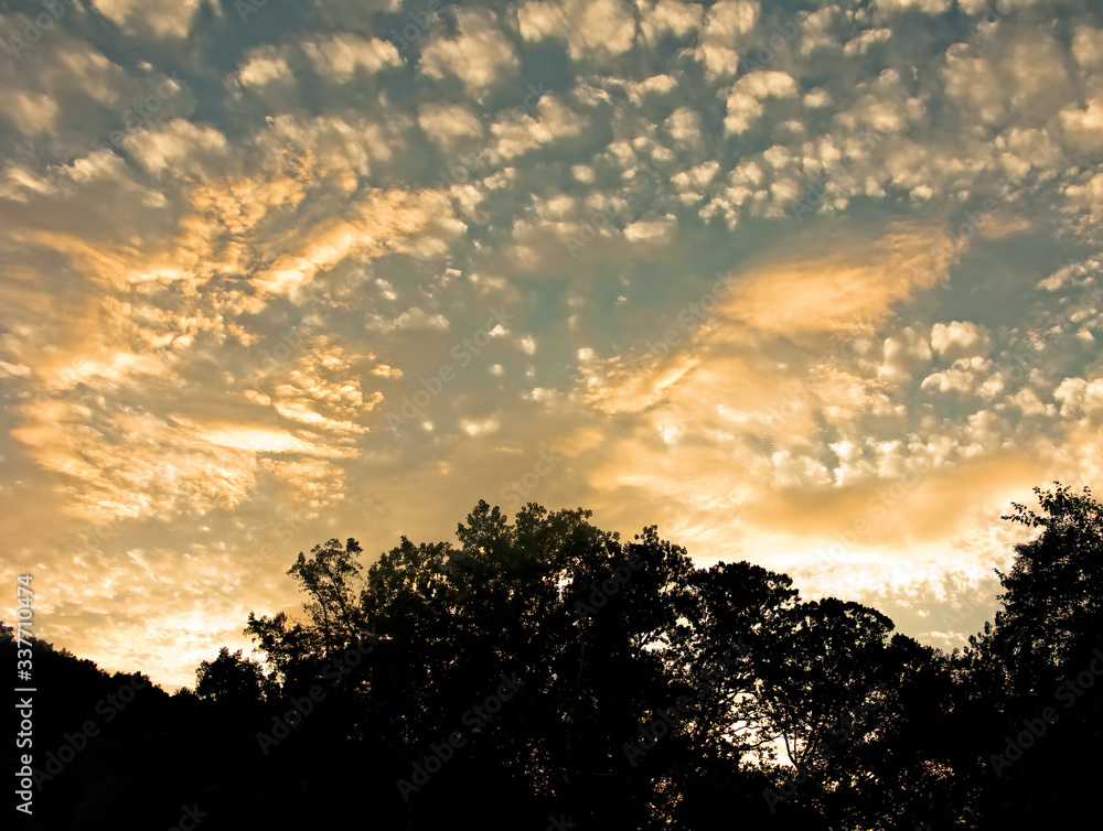 Fototapeta premium Mottled Clouds Overhead