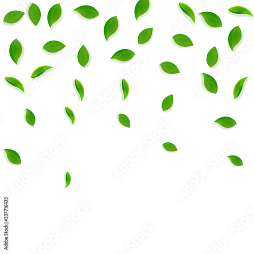 Falling green leaves. Fresh tea random leaves flyi