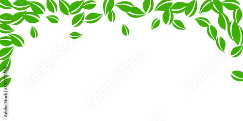 Falling green leaves. Fresh tea neat leaves flying