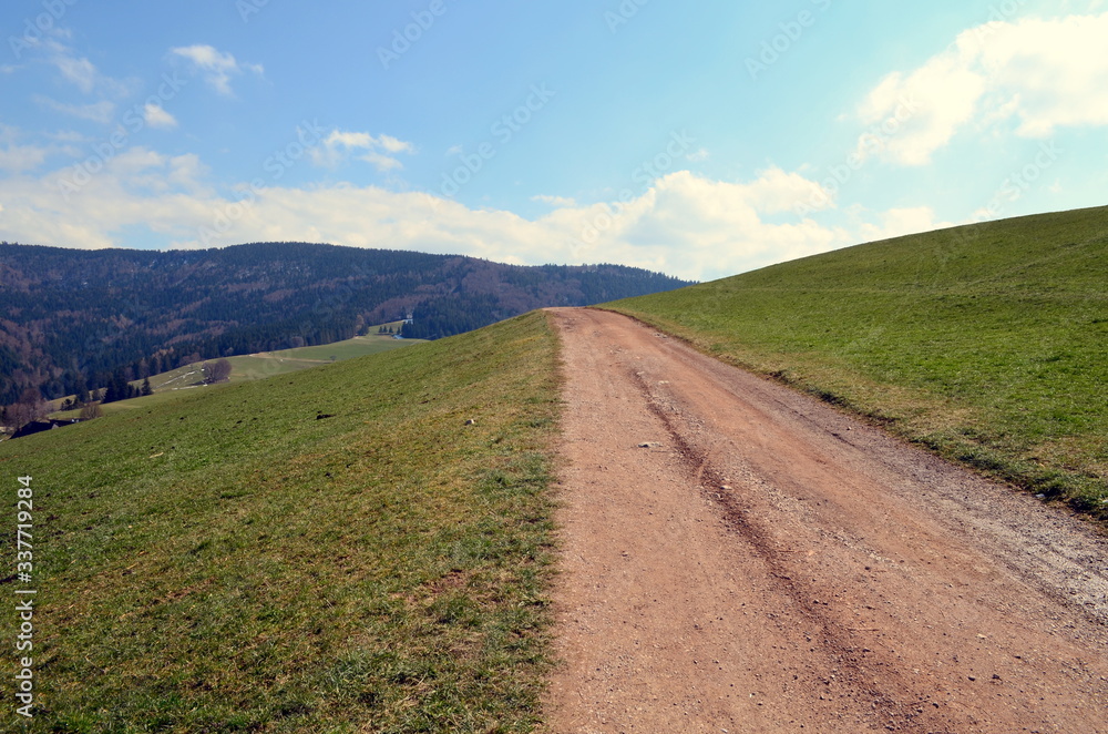 Wanderweg auf dem Geiersnest im Schwarzwald Wanderweg auf dem Geiersnest im Schwarzwald