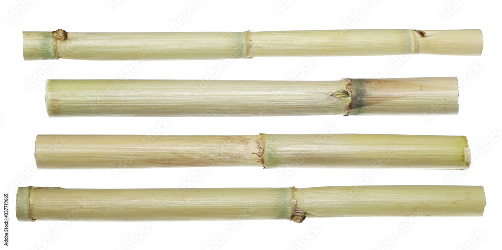 Bamboo sticks set and collection with clipping path, isolated on white background Bamboo sticks set and collection with clipping path, isolated on white background