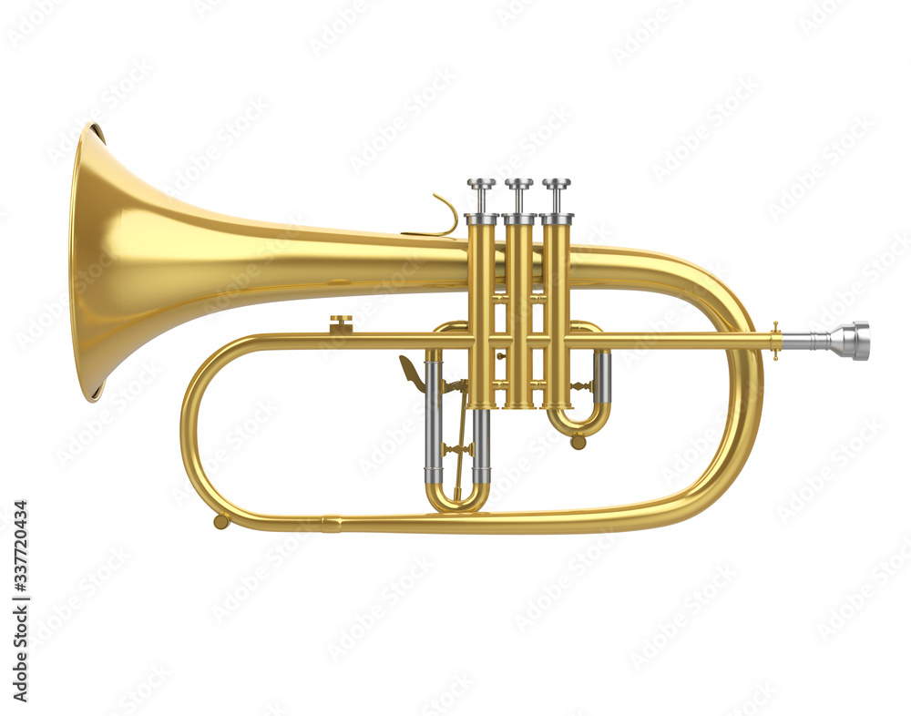 Fototapeta premium Flugelhorn Isolated