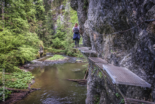 Tourist on a Hornad River trail in Slovak Paradise park located in Ore Mountains, Slovakia photo