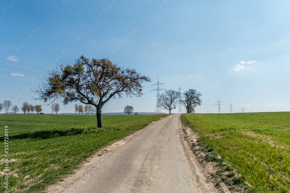 Strommasten im Frühjahr