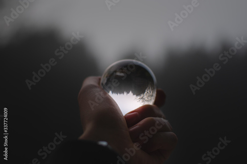 misty trees through glowing crystal ball