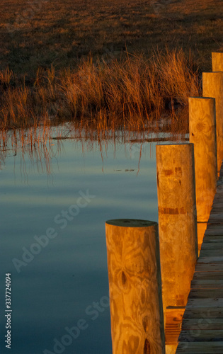 pilings, marshgrass photo