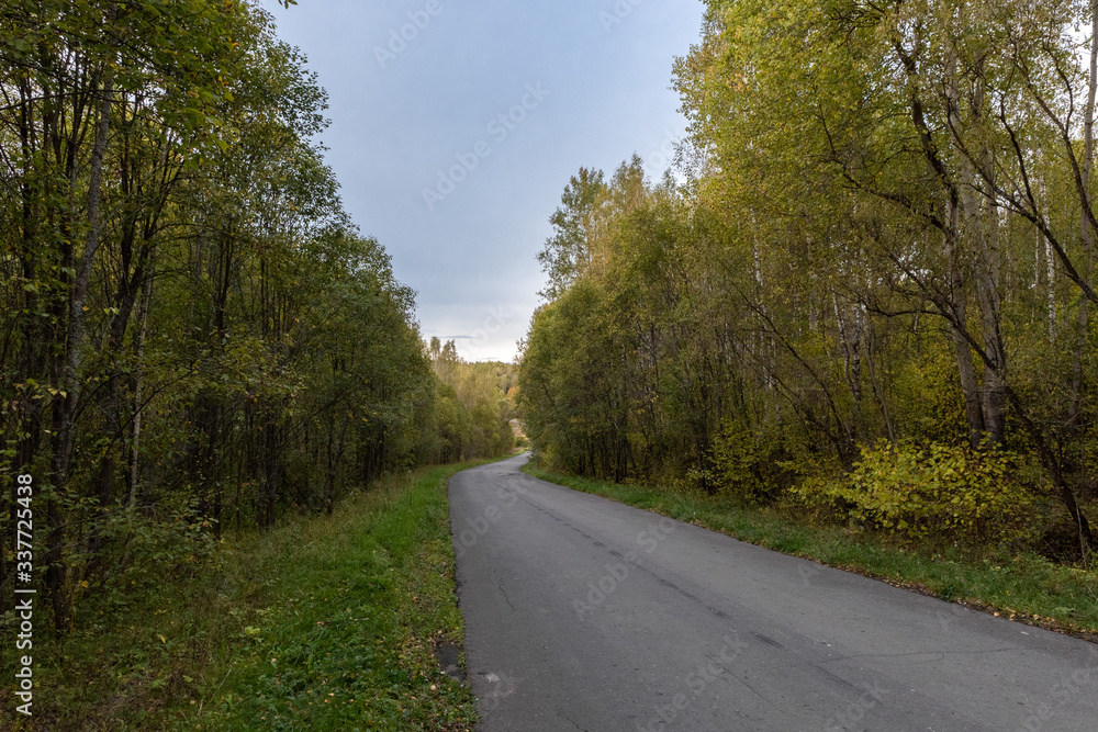 Fototapeta premium curved road in the autumn forest