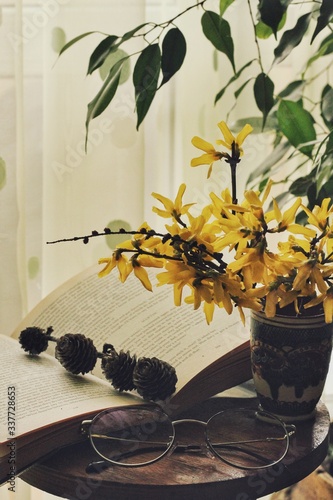 Obraz na płótnie Dark mystic and calm mood. Book and flowers on the table, spring morning at home w salonie