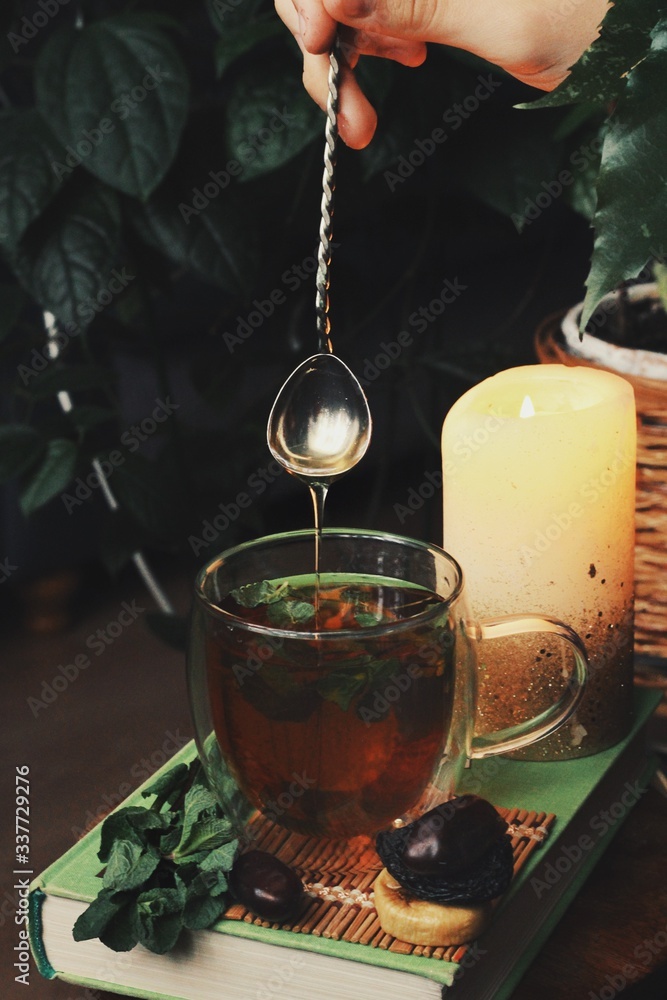 Dark mystic and calm mood. Book and hot tea with mint and honey on table with green plant