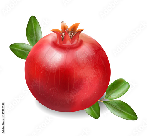 Pomegranate, fresh fruit realistic isolated white background, organic fruit