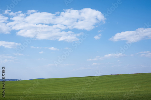 Beautiful field landscape. Countryside village rural natural background at sunny weather in spring summer. Green grass and blue sky with clouds. Nature protection concept. © Natalia