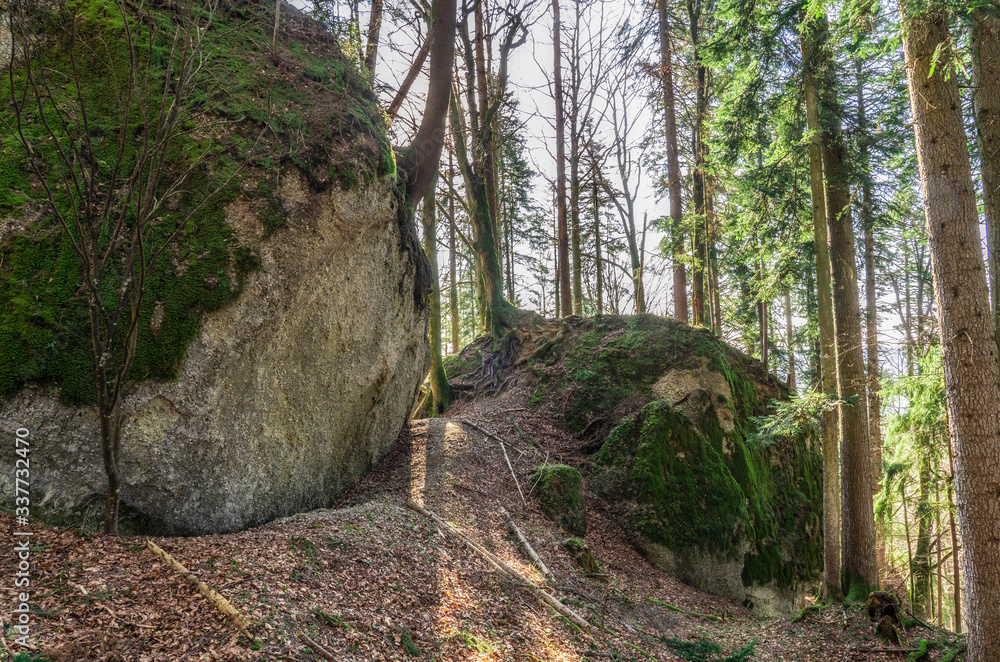 mysterious rock formation Entschenstein, a conglomerate stone monolith in the Allgau mountains near village of Weiler, Bavaria, Germany mysterious rock formation Entschenstein, a conglomerate stone monolith in the Allgau mountains near village of Weiler, Bavaria, Germany