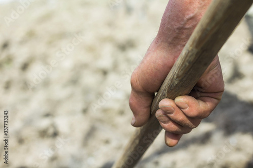 hand of a senior farmer lies on a pole of an agricultural implement, weathered hand with wrinkles, fresh food concept