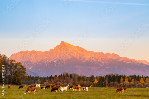 Krivan in Hight Tatras  Slovakia