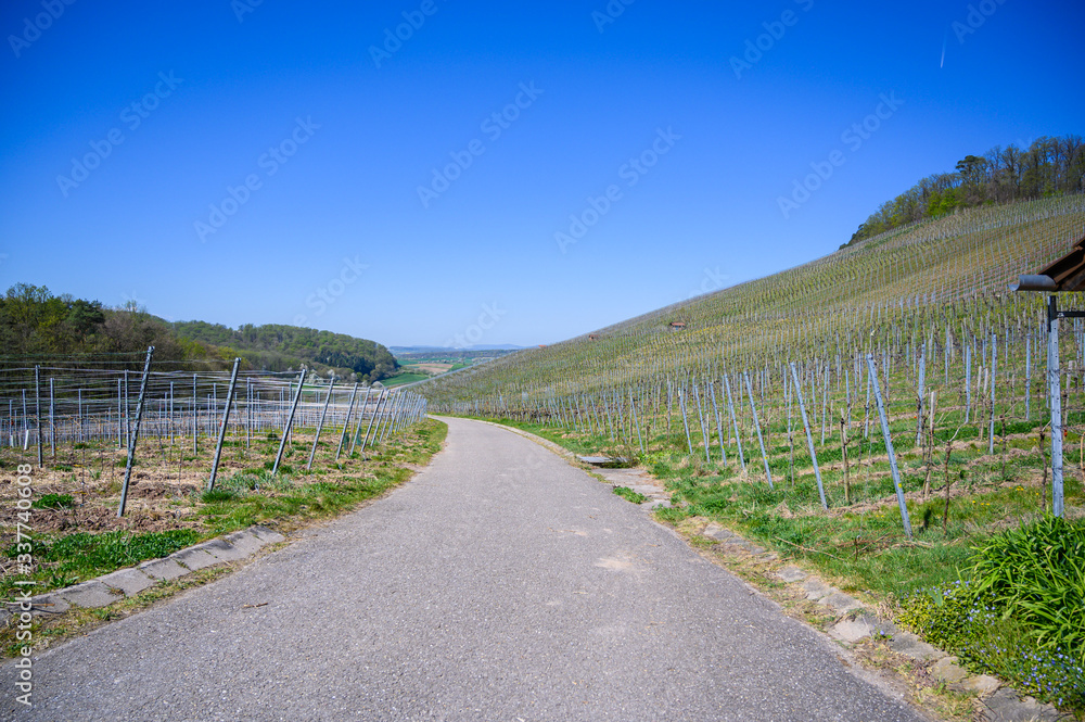 View from the vineyards in spring in Großbottwar Germany