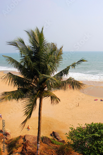 Tamil Nadu   India. March 24 2018  sea shells on the sea.