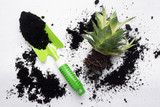 Green plant in a flower pot, garden shovel and soil on white wooden table background with copy space.