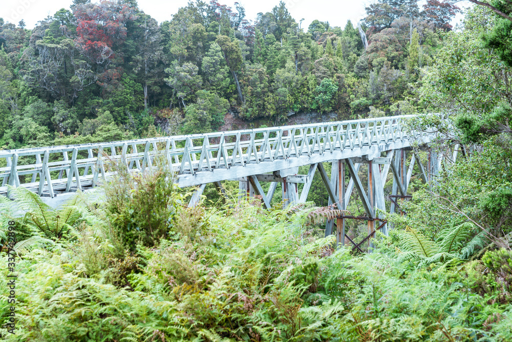 Old historic wooden bridge in forest - new zealand Old historic wooden bridge in forest - new zealand