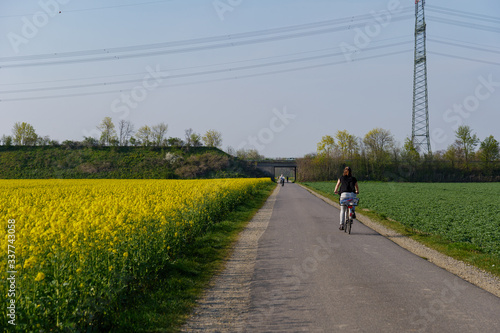 Outdoor sunny view of  people ride bicycle and do jogging on small road on countryside along yellow rapeseed blossom field in spring or summer season against blue sky.