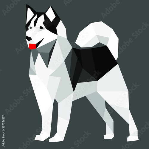 Black and white low poly dog. Vector illustration, siberian husky dog.