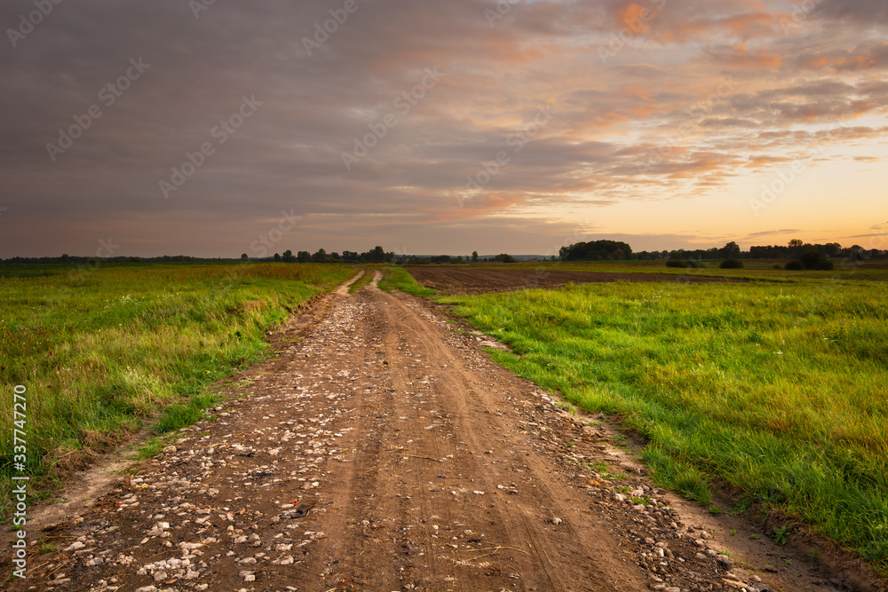 Sandy dirt road with stones, green fields and evening clouds