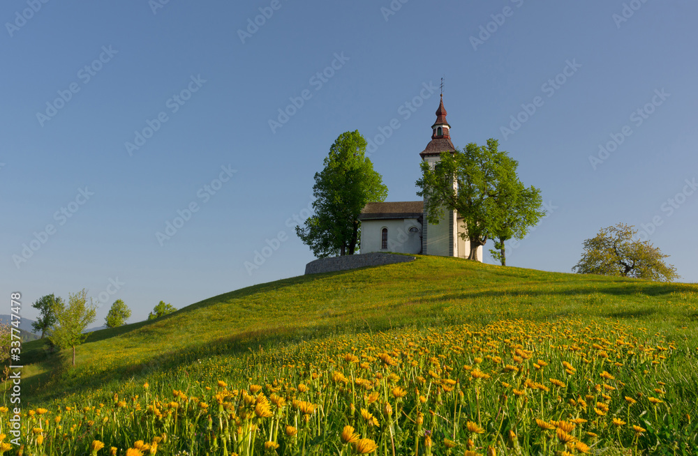 Charming little church of Sveti Tomaz (Saint Thomas) on a hill with blooming dandelions. Sunny spring morning in Skofja Loka, Slovenia.