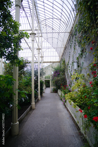 Photography Botanischer Garten in Dublin
