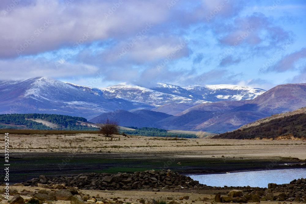 Fototapeta premium mountainous landscape with trees and snow