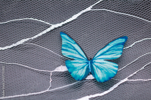 the fabric butterfly on the lace  photo