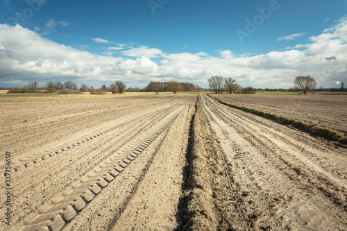 Traces of tractor wheels on a plowed field  dirt road  horizon and clouds on a blue sky