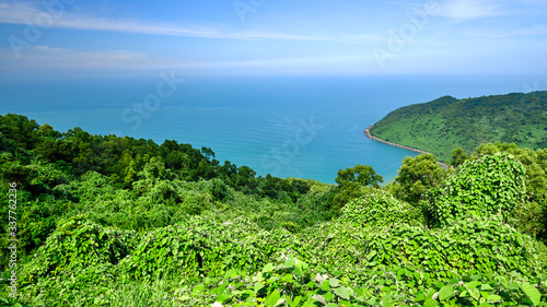 View of the jungle and the ocean from the Hai Van pass in Vietnam