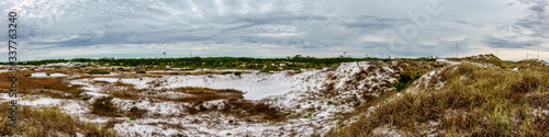 Wild Florida  Topsail Hill Preserve  Walton County Florida
