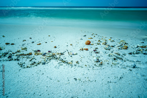 Fototapeta Naklejka Na Ścianę i Meble -  Shells on the beach, Gulf of Mexico