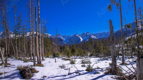 Tatry - Polana Rusinowa zimą