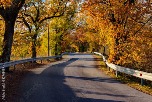 autumn colors in chianti