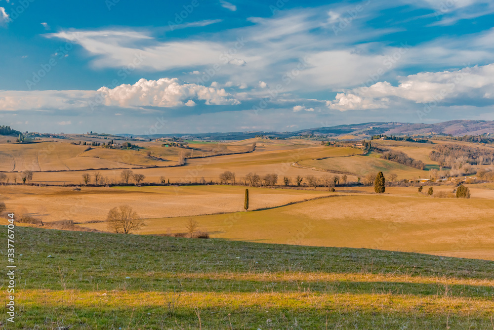 Fototapeta premium Lands of Tuscany in the Province of Siena Italy