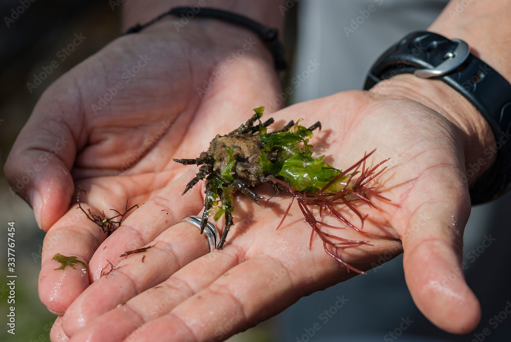 Obraz premium Reportage Pêche à marée basse