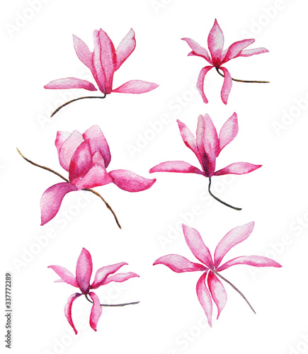 Set blooming magnolia flowers. Watercolor botanical illustration. Aquarelle flower for background, wrapper pattern, texture, frame or border.
