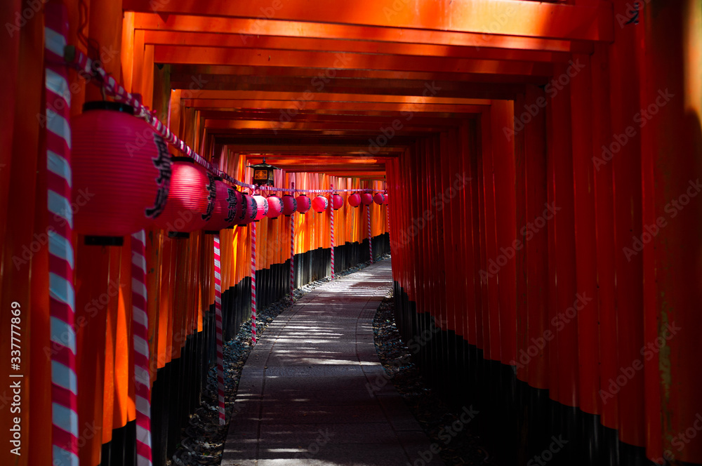Fototapeta premium japanese temple in kyoto japan