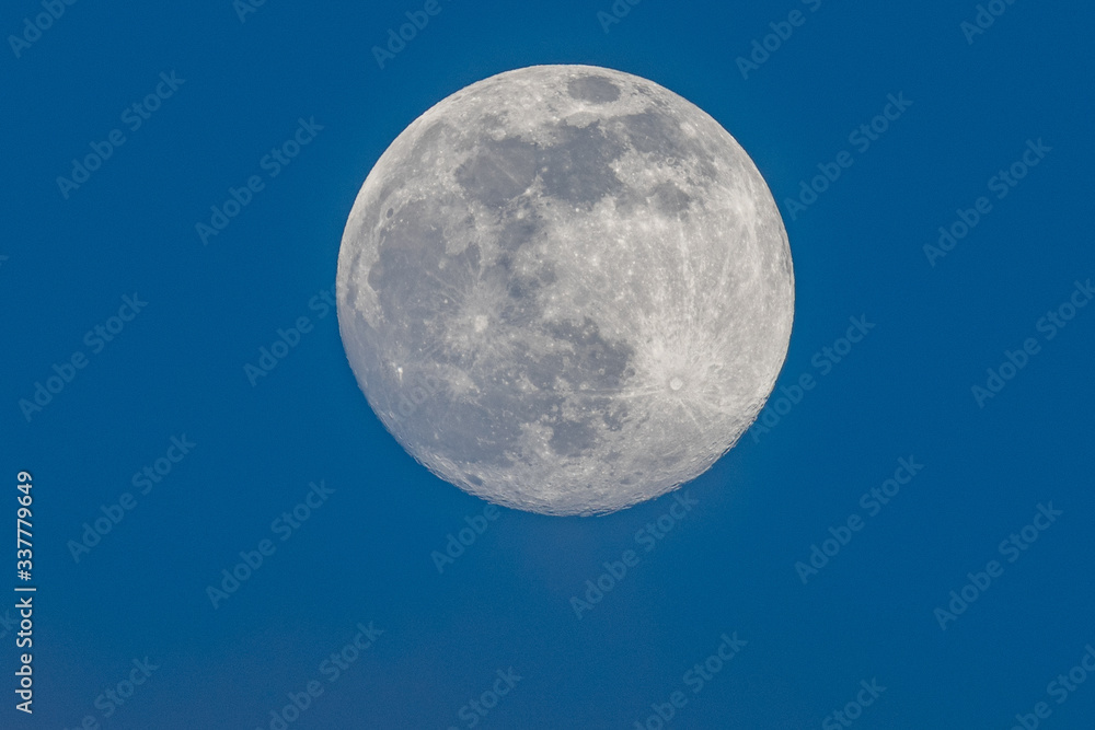 Full moon photographed on an early spring evening. Full moon photographed on an early spring evening.