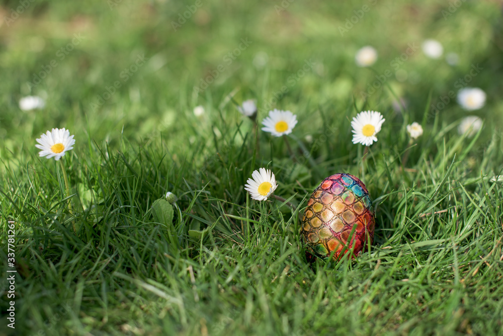 Easter hunt - different color egg in a back yard