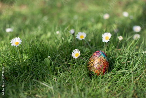 Easter hunt - different color egg in a back yard