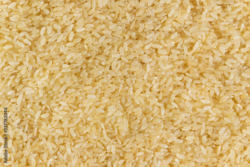 Biological brown rice background, whole grain uncooked cereal ingredient Biological brown rice background, whole grain uncooked cereal ingredient