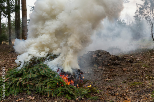 Forest fire, branches and grass are burning, a lot of smoke