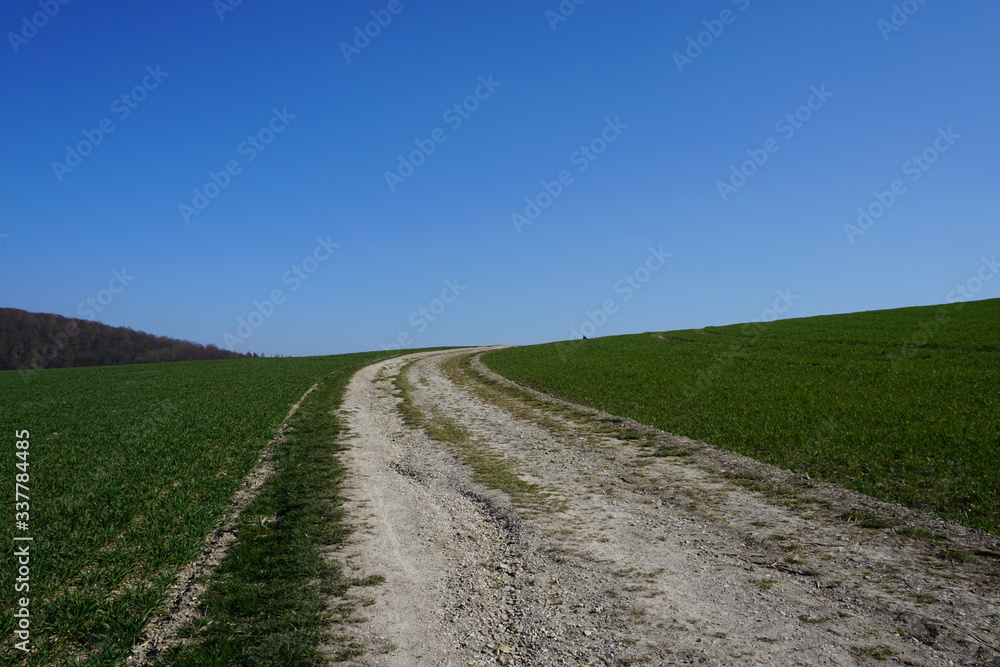 Ein Feldweg, Wanderweg oder Radweg in der Nähe von Delligsen an einem sonnigen Tag im Frühling