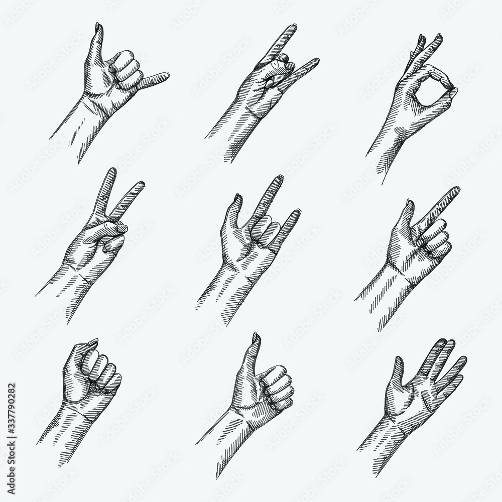 Hand-drawn sketch set of Hand Signs And Gestures. Rock N’ Roll, Call Me ...