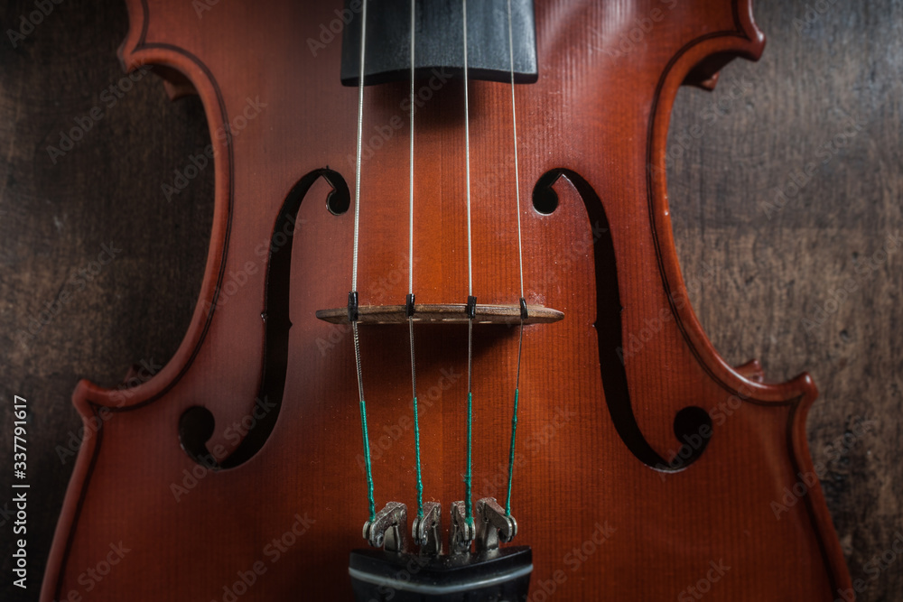 detail view of viola musical instrument detail view of viola musical instrument