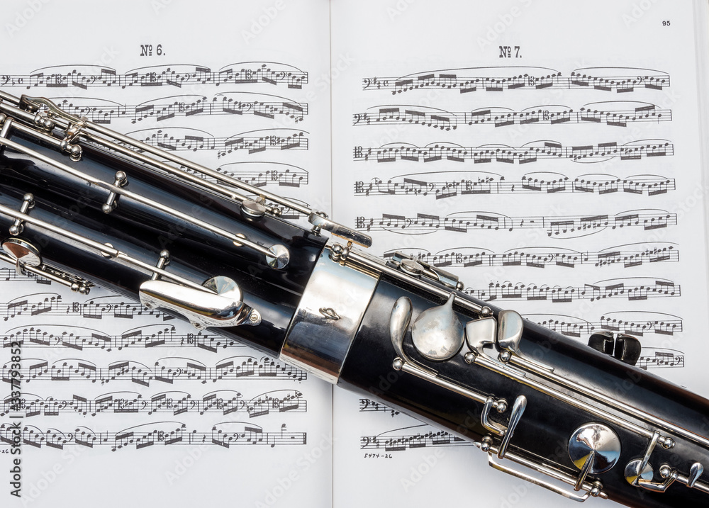 Obraz premium Cropped photo of bassoon over the notes