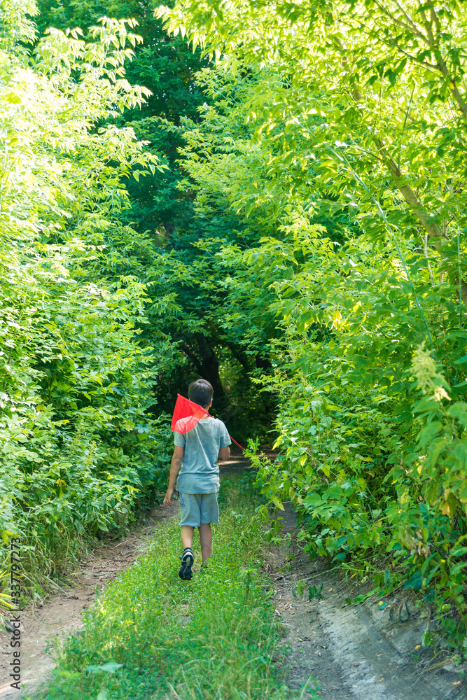 Obraz premium A young boy walks along the path to the forest in the summer on vacation